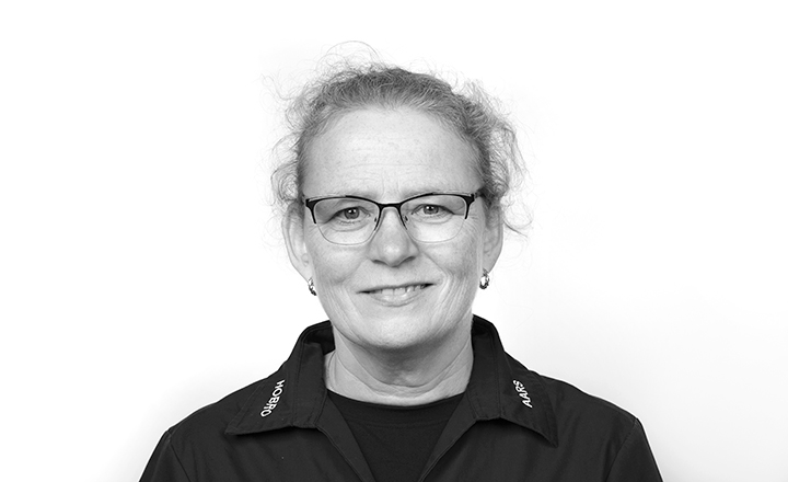Billede af Birgit Gaardsted Andersen