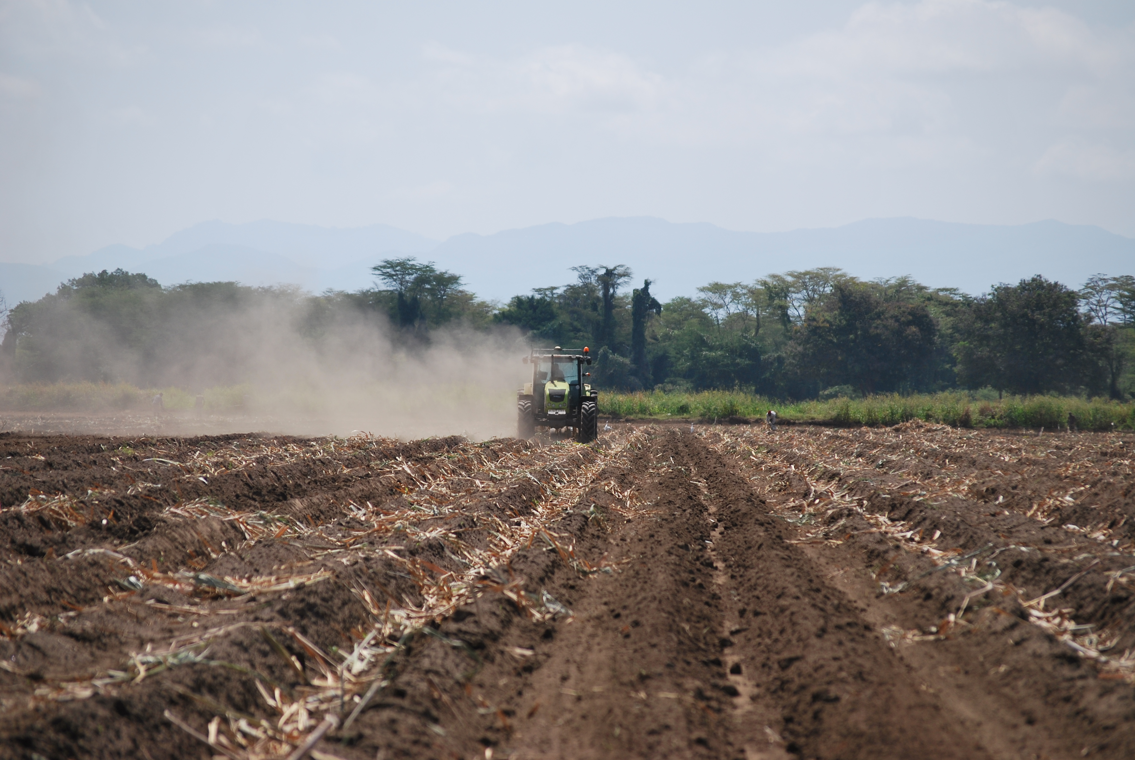 Lærlinge i Tanzania ude i marken