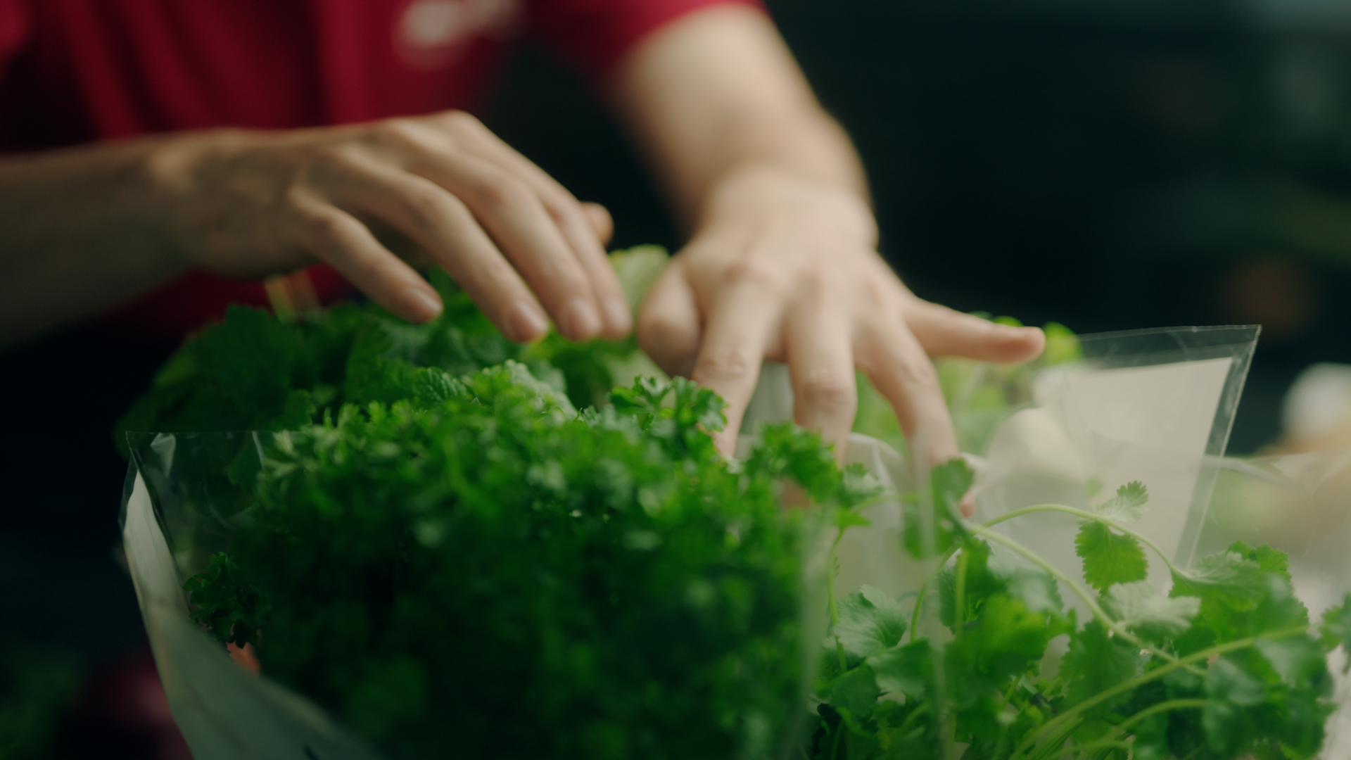 V4.0.00 00 05 07.Still006